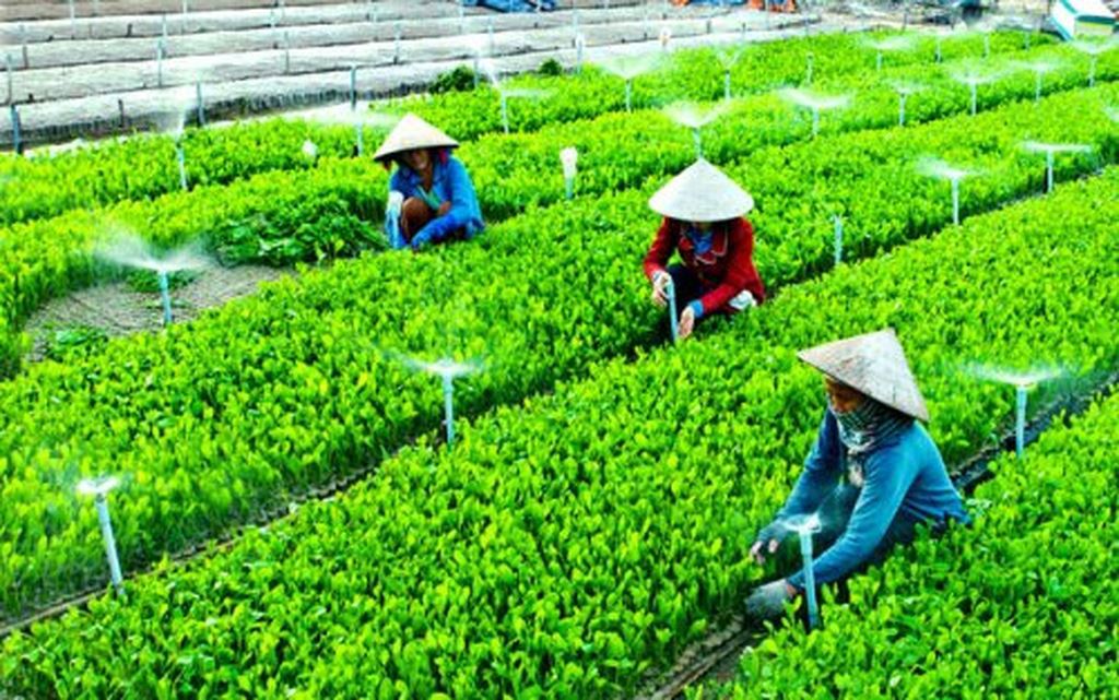 ung dung gis tuoi tieu nong nghiep