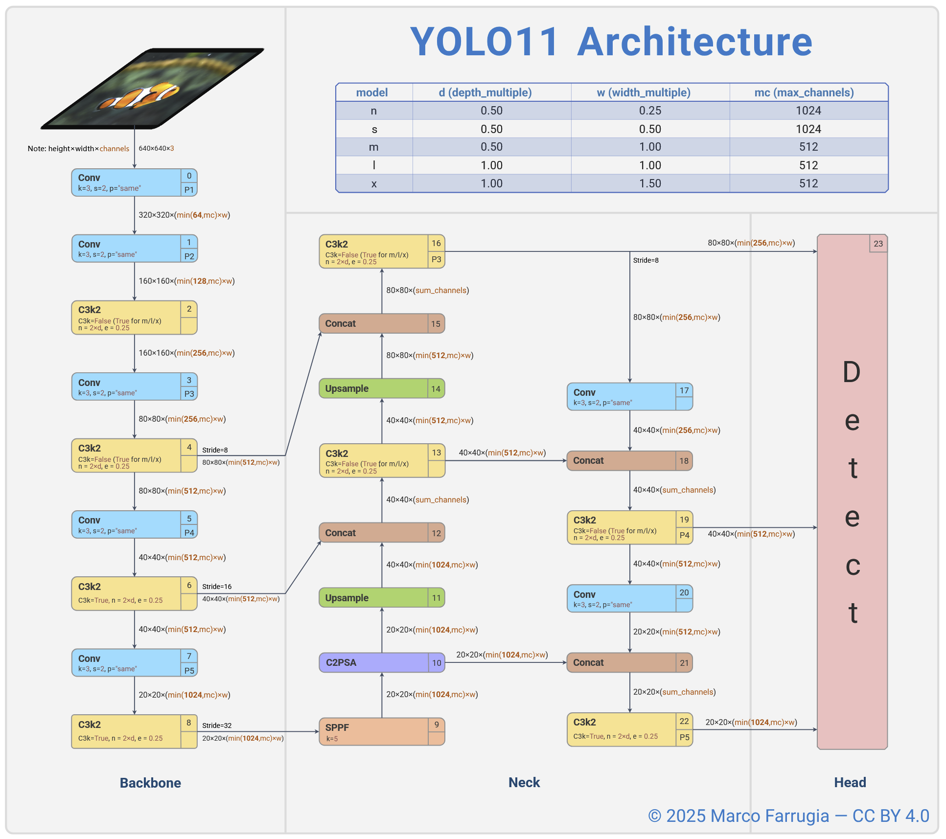 Kiến trúc mô hình YOLOv11 trong deep learning