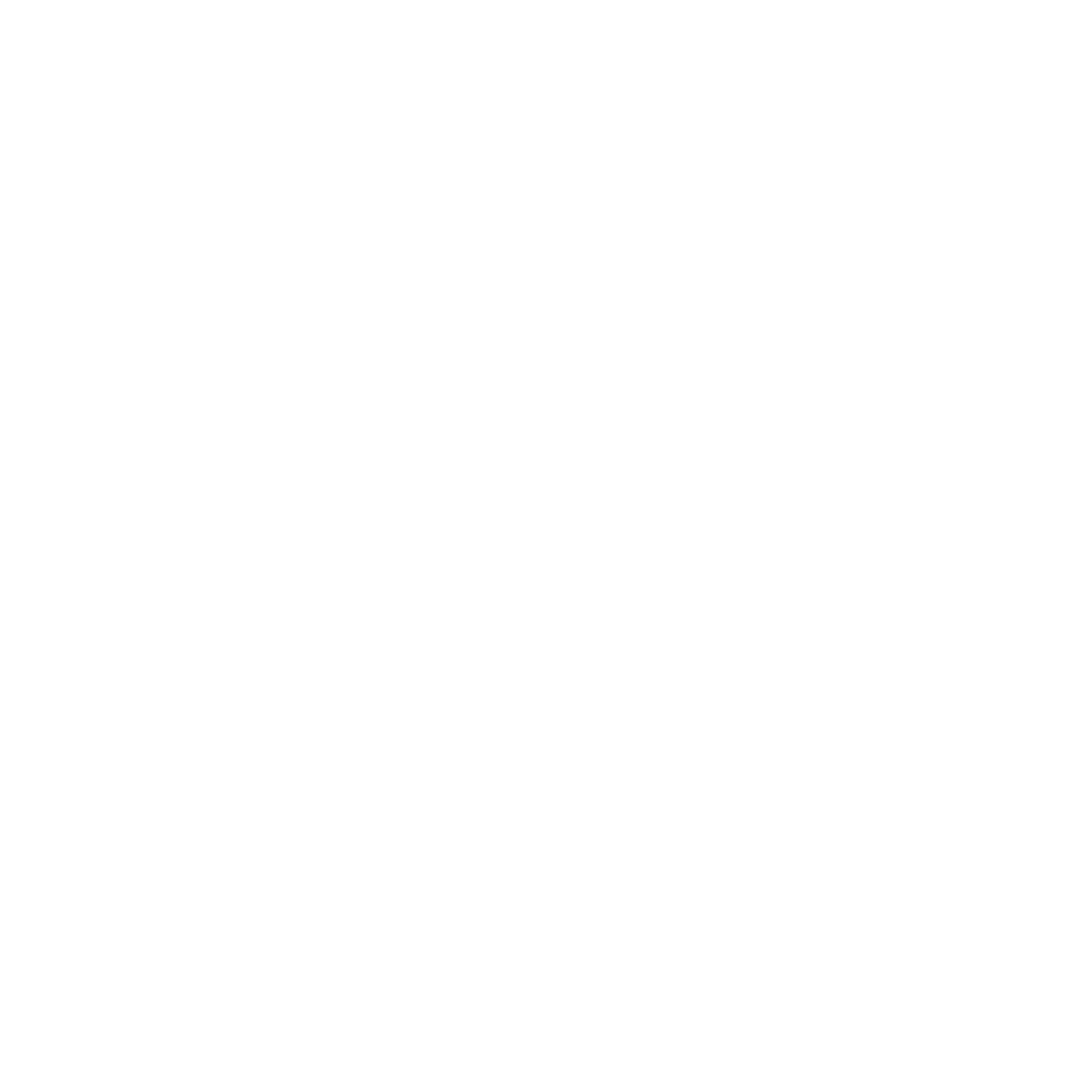 VSGA