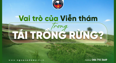 Vai tro cua Vien tham trong tai trong rung