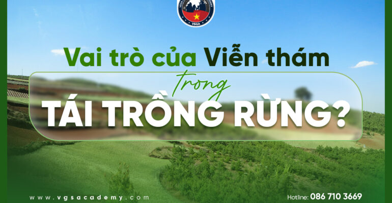Vai tro cua Vien tham trong tai trong rung