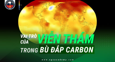 Vai tro cua vien tham trong bu dap carbon