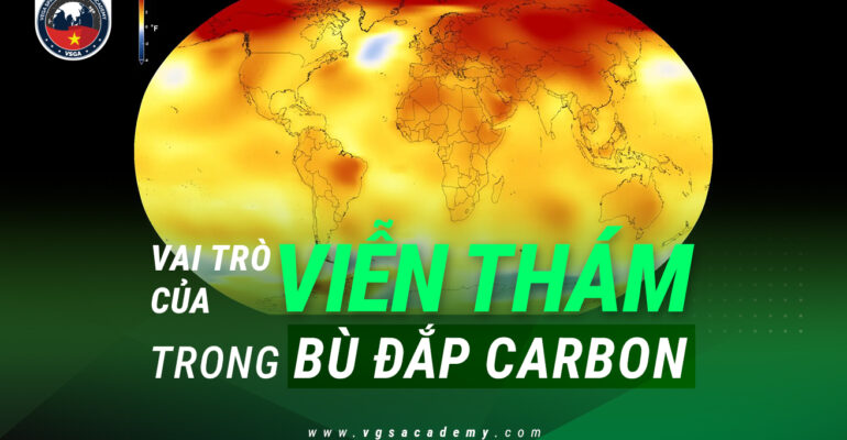 Vai tro cua vien tham trong bu dap carbon