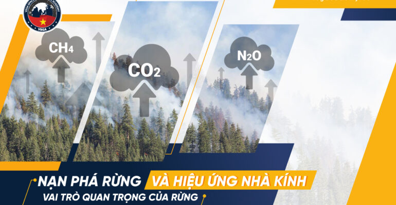nan pha rung va vai tro của vien tham
