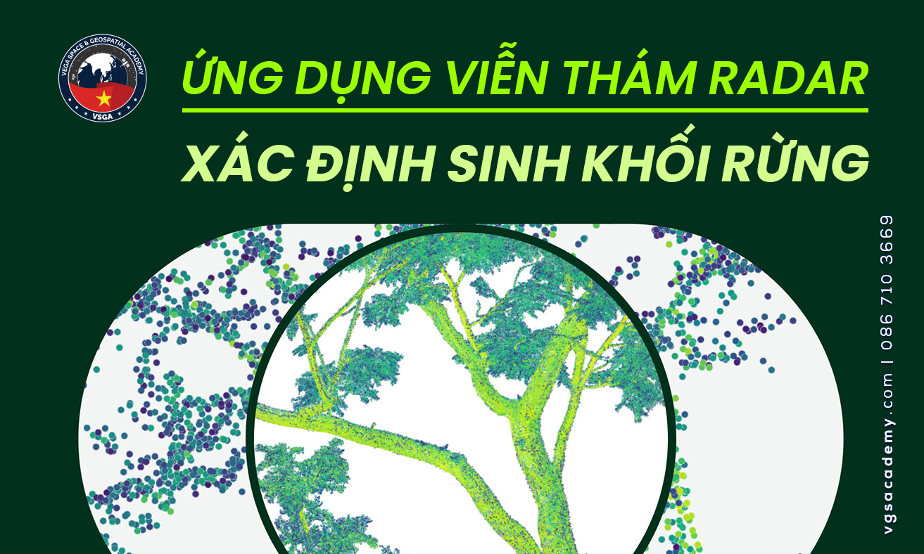 Ung dung vien tham radar xac dinh sinh khoi rung