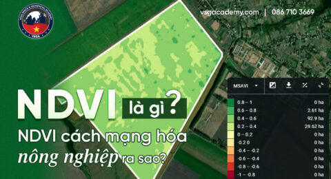 NDVI la gi - NDVI cach mang hoa nong nghiep ra sao
